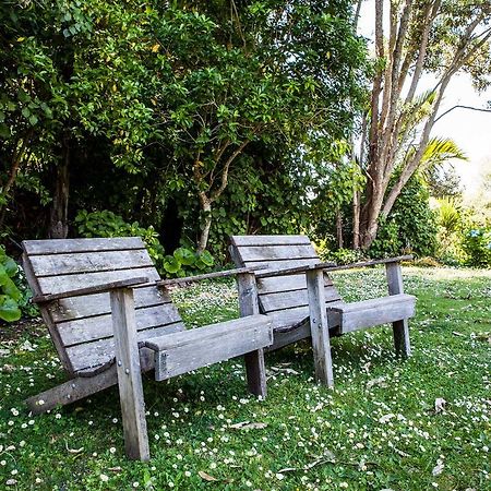 Amongst The Nikau Villa Уаихи Екстериор снимка