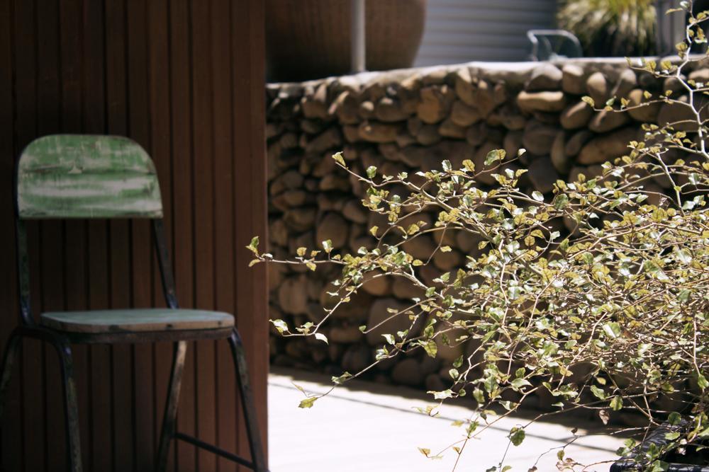 Amongst The Nikau Villa Уаихи Екстериор снимка